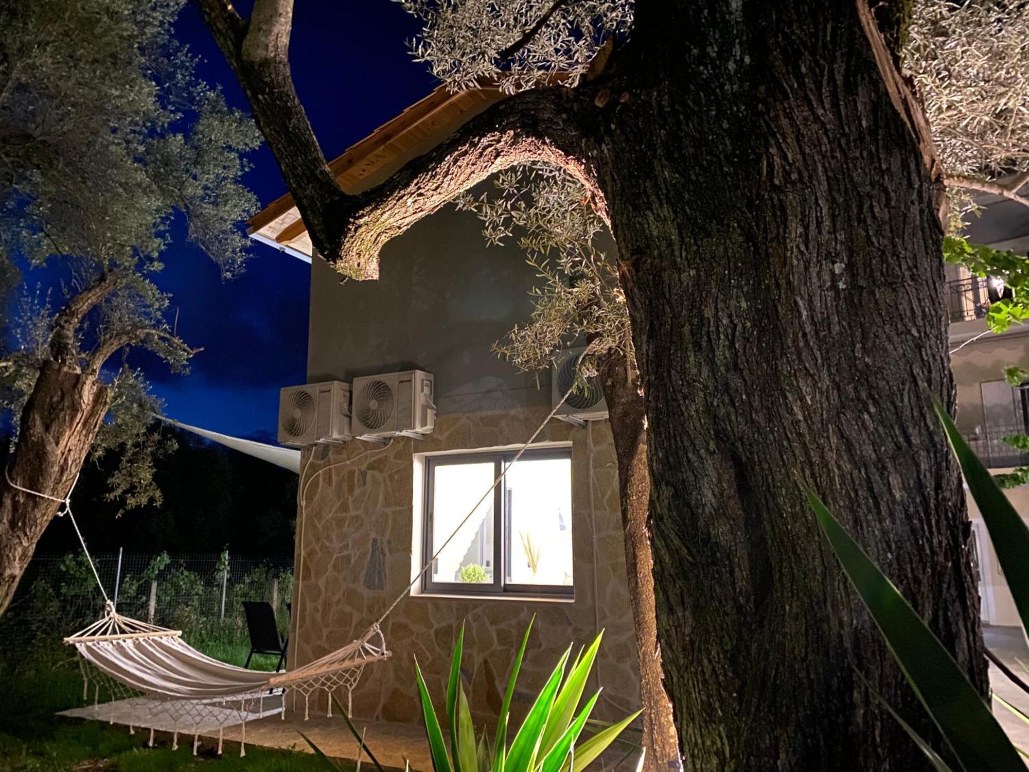 Olive Tree Apartments Lefkáda Zimmer foto