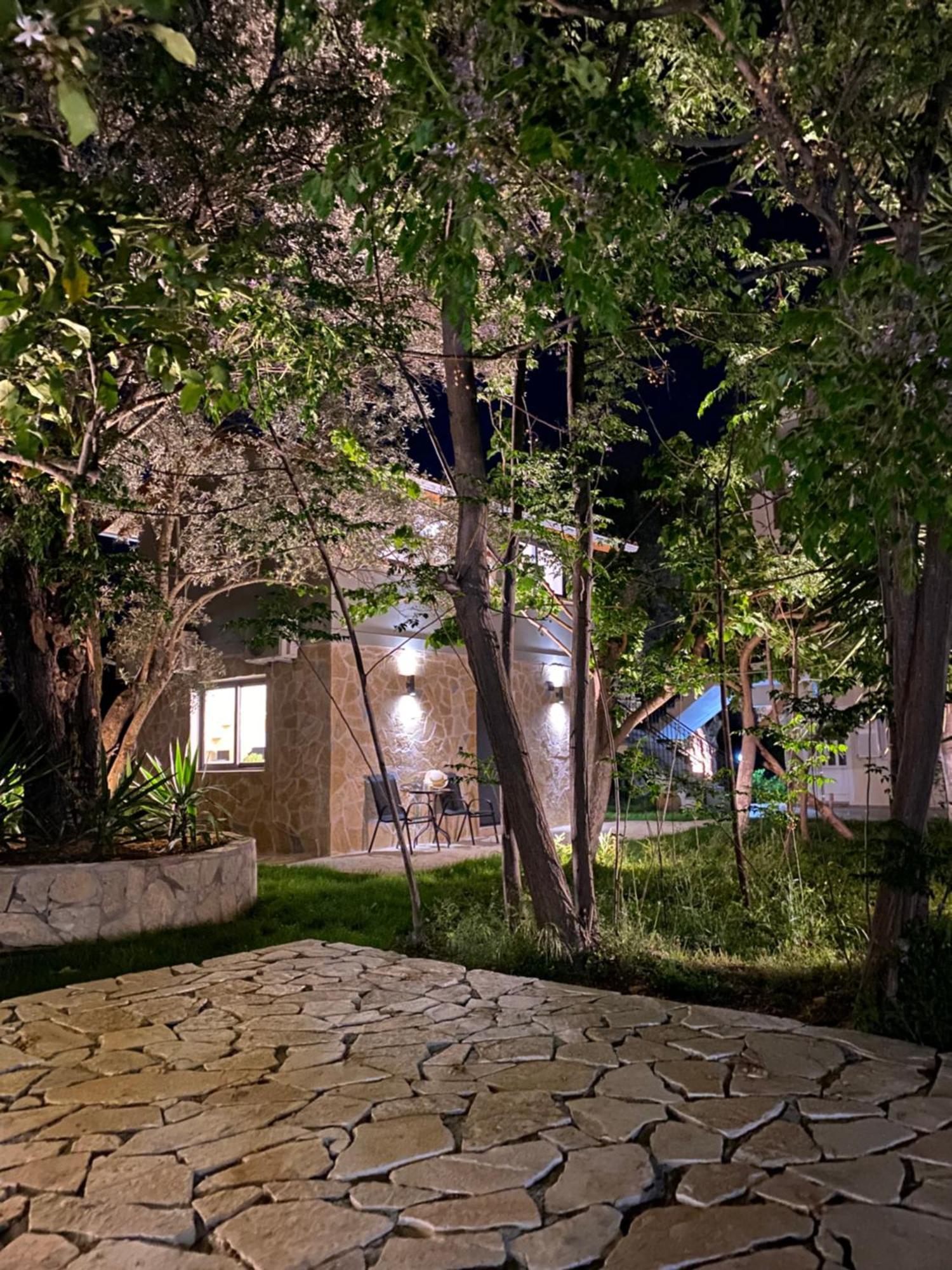 Olive Tree Apartments Lefkáda Zimmer foto